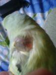 post-60496-1428696225_thumb.jpg