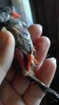 post-60564-1429904148_thumb.jpg