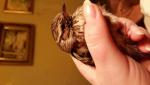 post-60564-1453839995_thumb.jpg