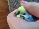 post-60592-1464010553_thumb.jpg