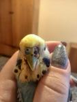 post-60592-1466425550_thumb.jpg