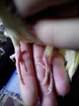post-60629-1429540217_thumb.jpg