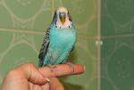 post-60720-1430227418_thumb.jpg