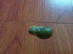 post-61089-1433929414_thumb.jpg