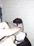 post-61089-1437974299_thumb.jpg