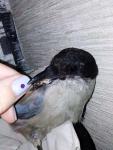 post-61089-1437974385_thumb.jpg