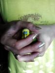 post-61092-1432627843_thumb.jpg