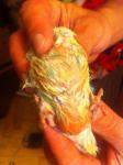 post-61129-1432932889_thumb.jpg