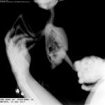 post-61130-1497537044_thumb.jpg