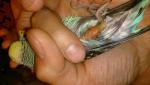 post-61251-1433181788_thumb.jpg