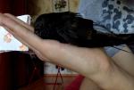 post-61354-1433602112_thumb.jpg