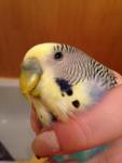 post-61413-1433848544_thumb.jpg