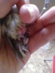 post-61560-1436008907_thumb.jpg