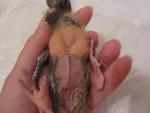 post-61564-1434526518_thumb.jpg