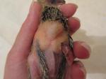 post-61564-1434736825_thumb.jpg