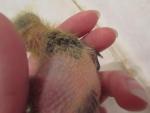 post-61564-1434783718_thumb.jpg