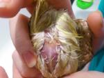 post-61578-1447399831_thumb.jpg