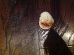 post-61595-1455456428_thumb.jpg