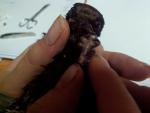 post-61846-1438329053_thumb.jpg