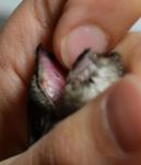 post-61863-1448218099_thumb.jpg