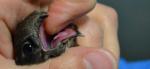 post-61863-1448218159_thumb.jpg