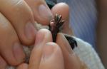 post-62176-1464166196_thumb.jpg