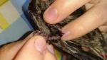 post-62176-1465810241_thumb.jpg