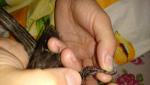post-62176-1465810574_thumb.jpg