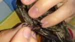 post-62176-1465810836_thumb.jpg