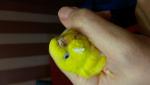 post-62182-1466419934_thumb.jpg