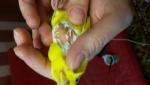 post-62182-1466420037_thumb.jpg