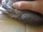 post-62288-1473066850_thumb.jpg