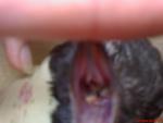 post-62288-1473066876_thumb.jpg