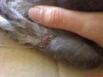 post-62288-1473066939_thumb.jpg