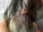 post-62288-1473839972_thumb.jpg