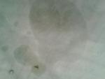 post-62674-1441998233_thumb.jpg