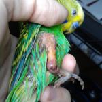 post-62722-1439485417_thumb.jpg