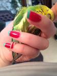 post-62724-1440327095_thumb.jpg