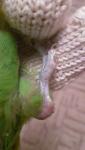 post-62923-1440521189_thumb.jpg
