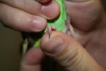 post-63041-1441213771_thumb.jpg