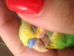 post-63105-1442323687_thumb.jpg