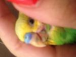post-63105-1442323861_thumb.jpg