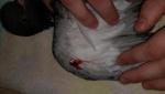 post-63214-1461848091_thumb.jpg