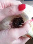 post-63253-1442904587_thumb.jpg