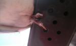 post-63317-1443602392_thumb.jpg