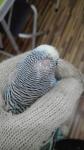 post-63586-1445972236_thumb.jpg
