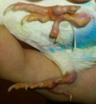 post-63674-1445699662_thumb.jpg