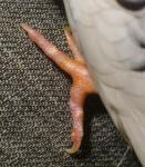 post-63674-1445699673_thumb.jpg
