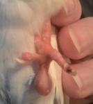 post-63674-1445699683_thumb.jpg