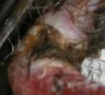 post-63750-1453554612_thumb.jpg